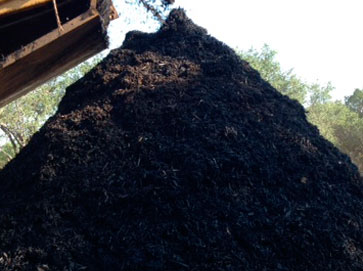 black Mulch